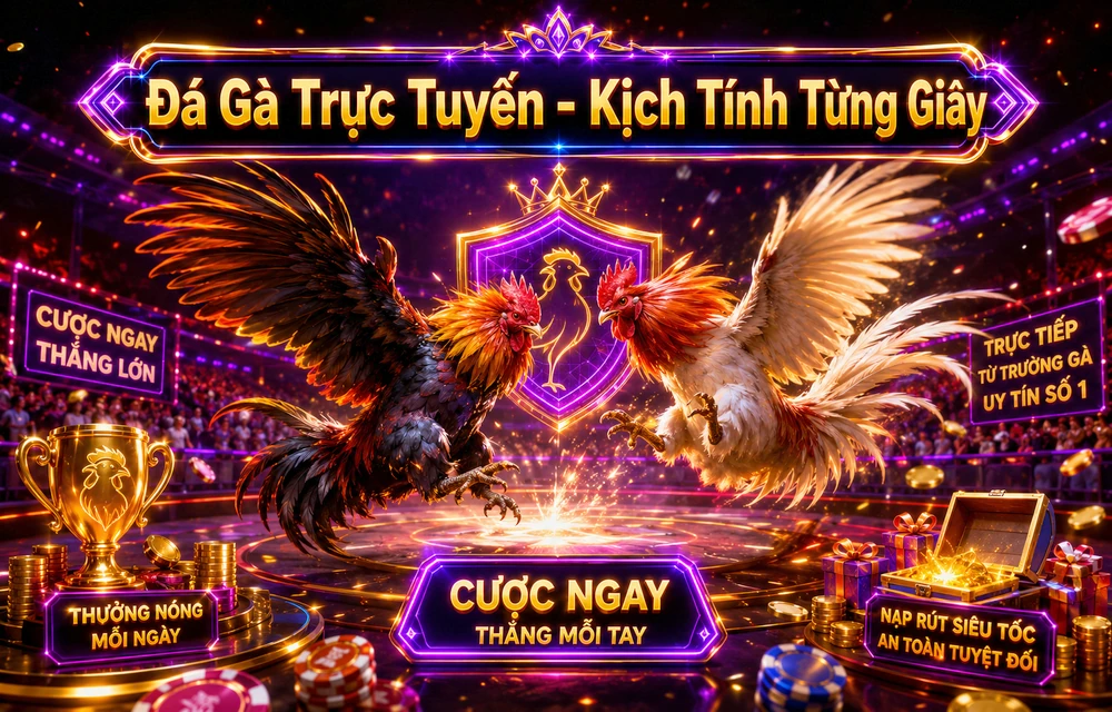 Hỏi đáp thực tế về Lịch thi đấu dành cho người mới